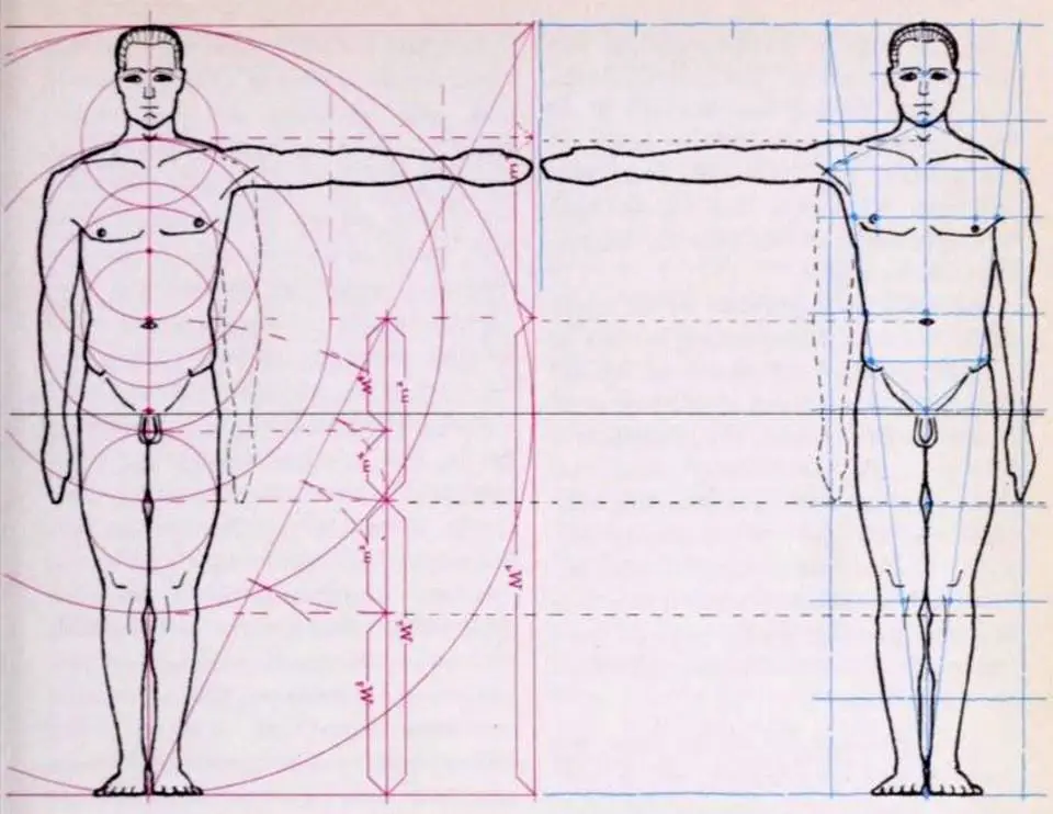 test figura humana ludico geometrica